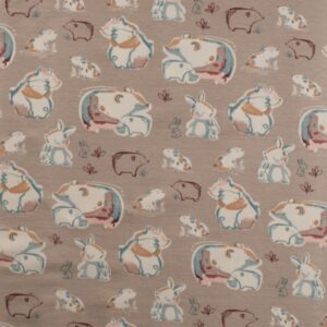 ג'רסי דובים וארנבים