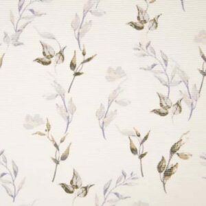 ג'רסי קורדרוי עלי לילך