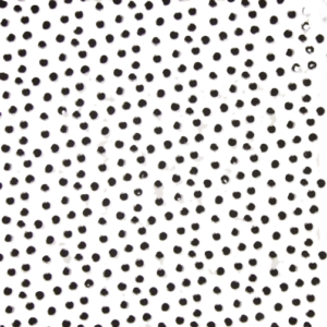 עיגולים צפופים שחור לבן